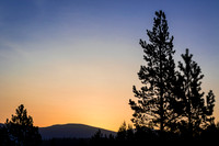 Sunrise, Pines & Hills