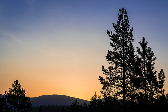 Sunrise, Pines & Hills