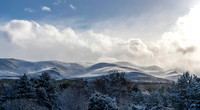 Cairngorms Winterscape