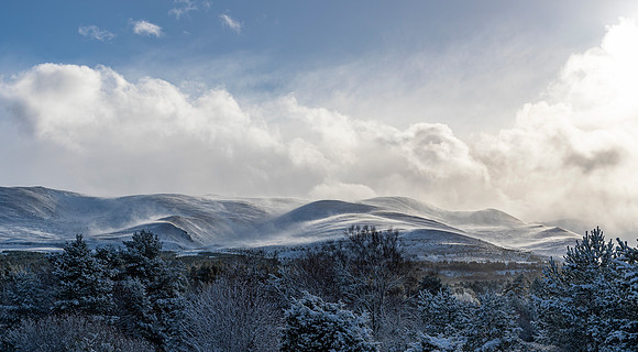 Cairngorms Winterscape