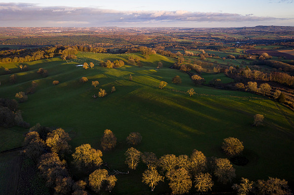Winter Light and Long Shadows